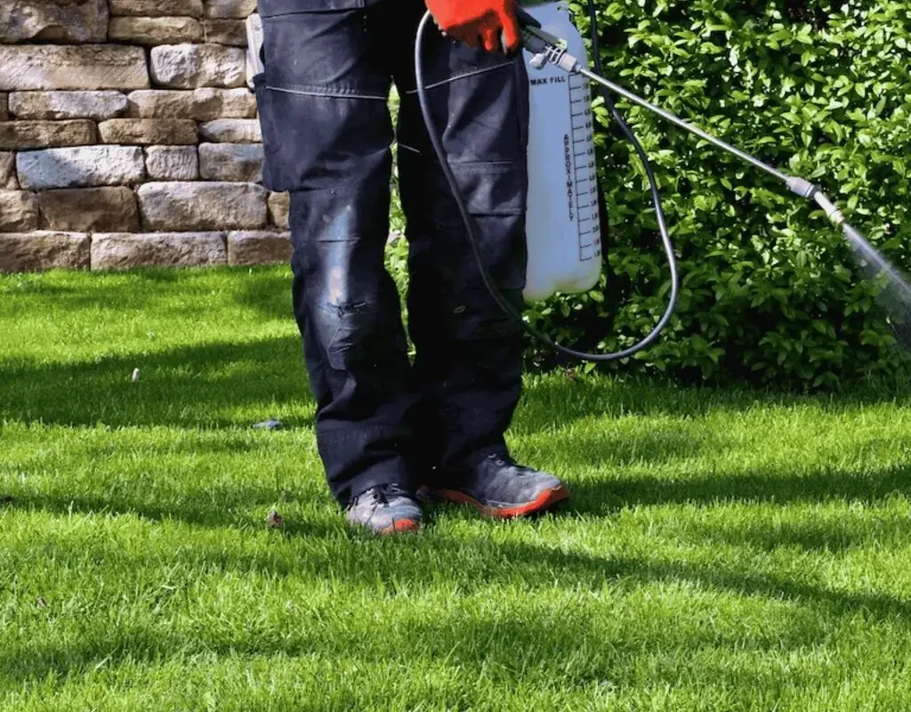 Close-up of a technician&rsquo;s hand spraying pre-emergent herbicide along a lawn&rsquo;s edge with a handheld pump sprayer, preventing weed germination.